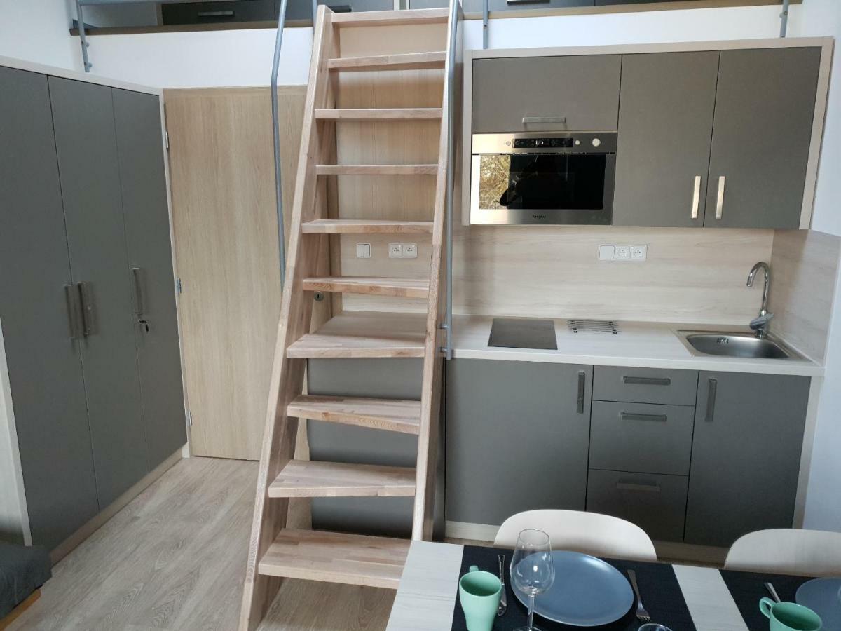 Apartman Pod Medvedi Horou Loucna nad Desnou Exterior photo