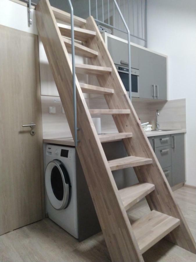 Apartman Pod Medvedi Horou Loucna nad Desnou Exterior photo