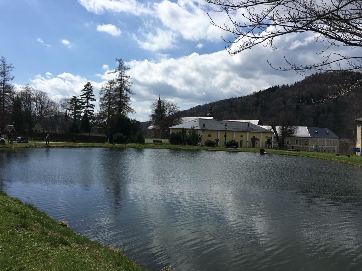Apartman Pod Medvedi Horou Loucna nad Desnou Exterior photo