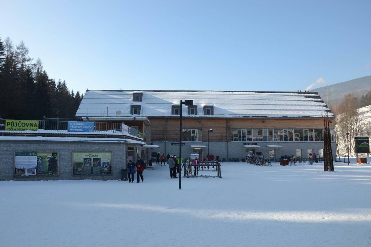 Apartman Pod Medvedi Horou Loucna nad Desnou Exterior photo